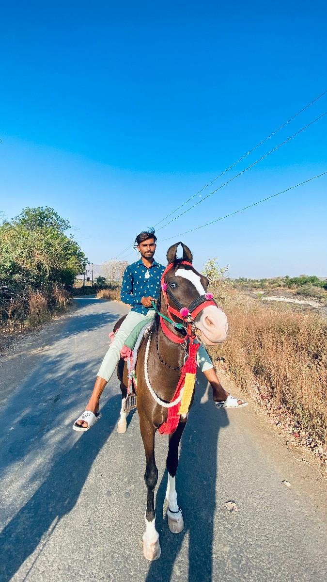 થંબનેલ 3