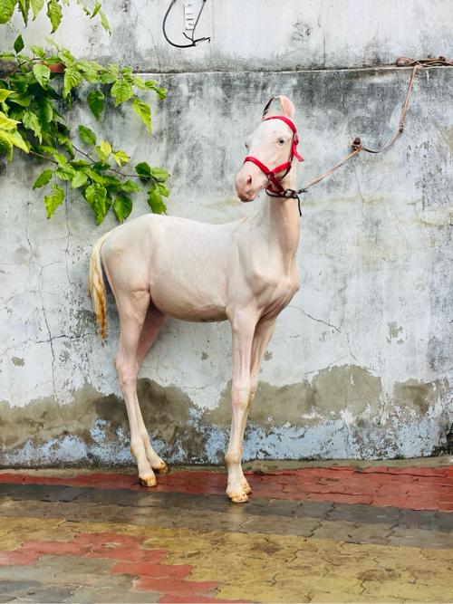 थंबनेल 2