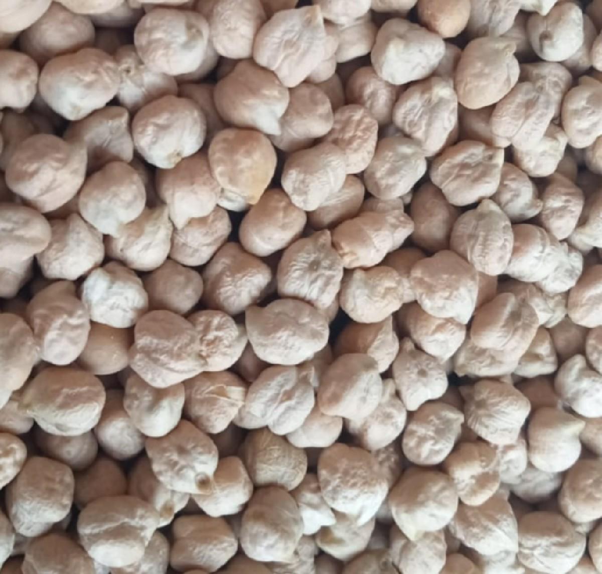 બિયારણ માટે વેચવા છે