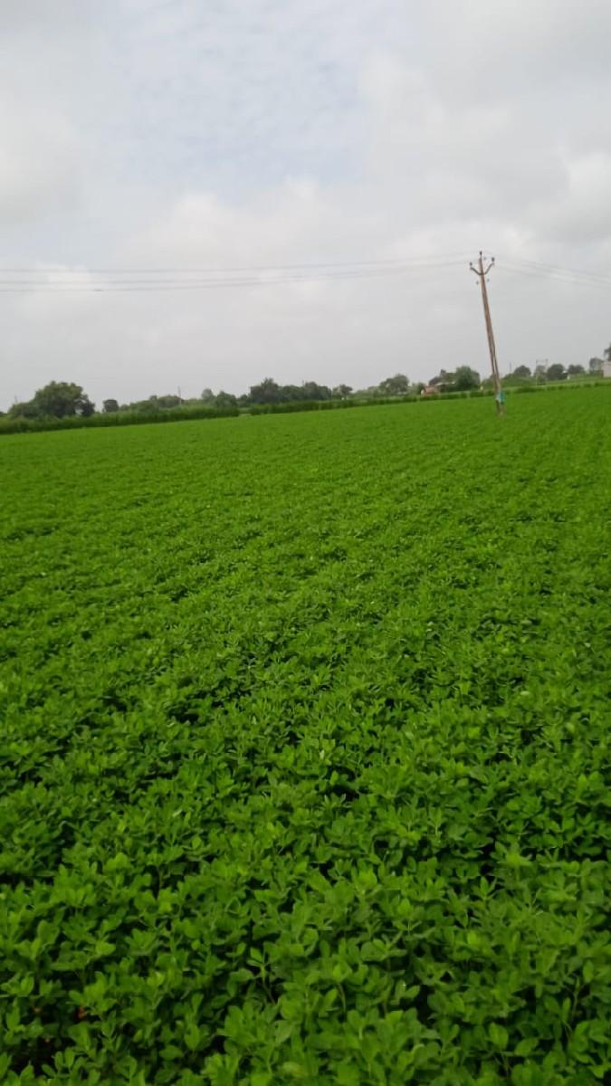 थंबनेल 3