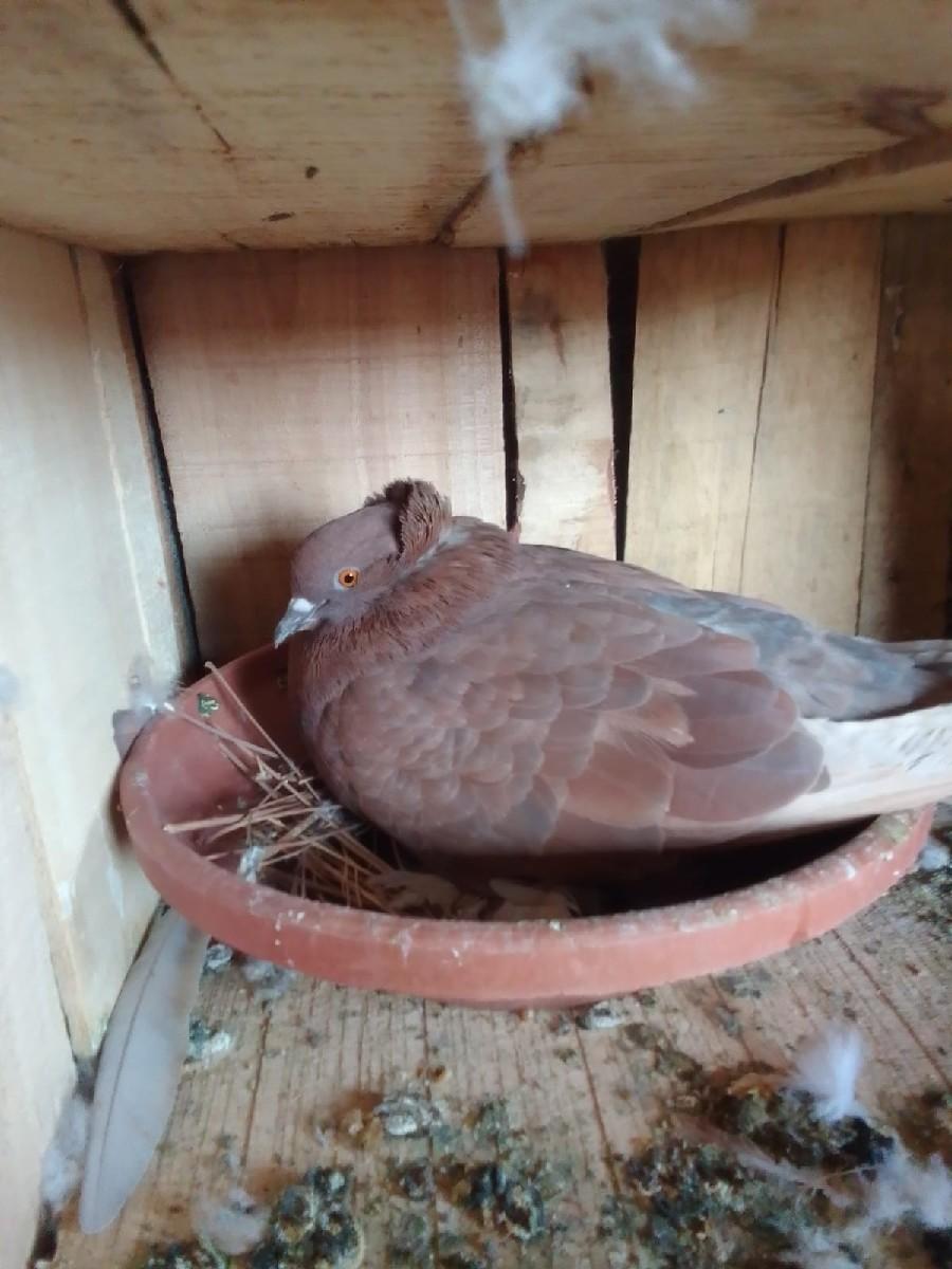 થંબનેલ 3