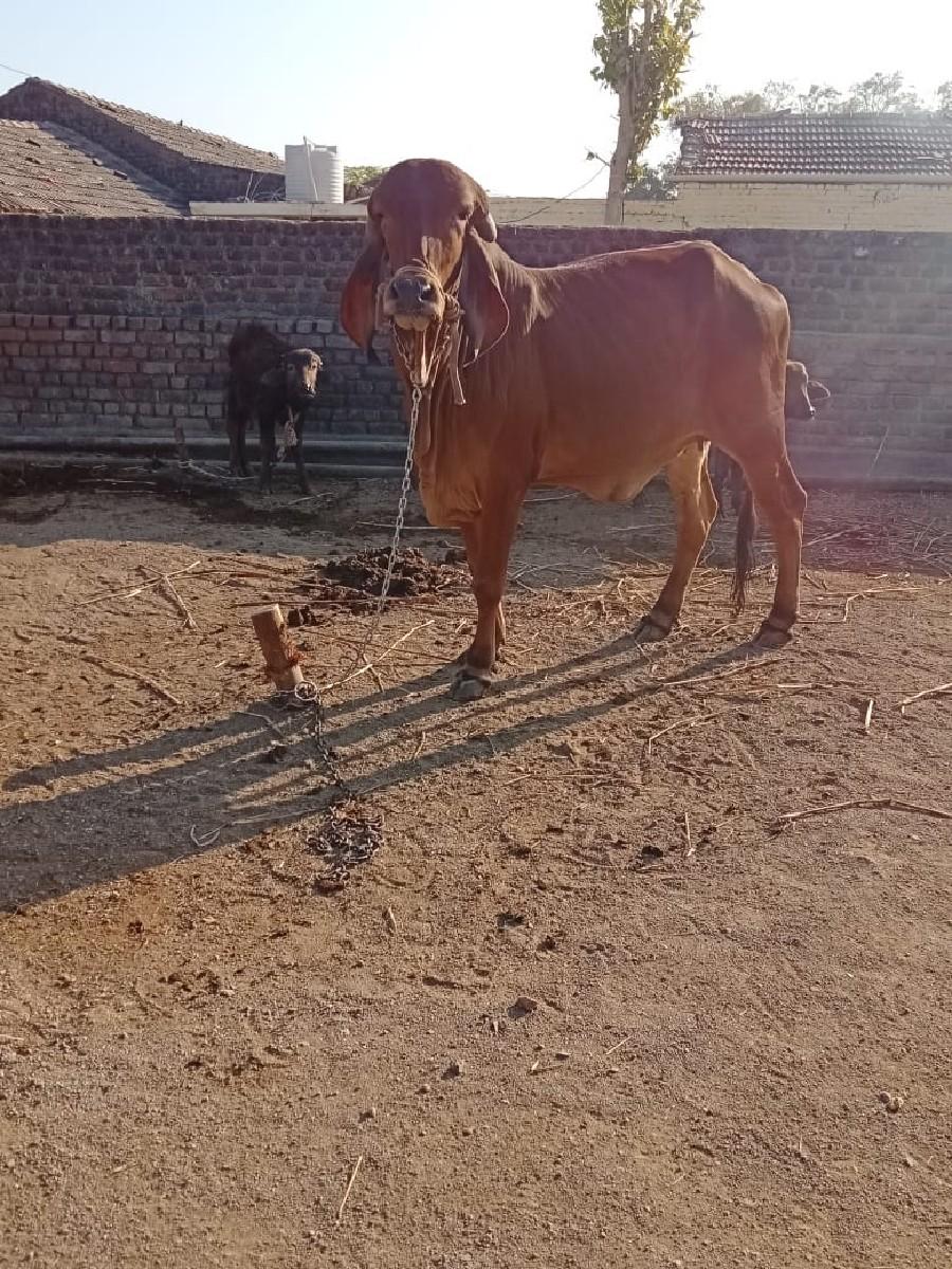 જમીન વેચવાની છે