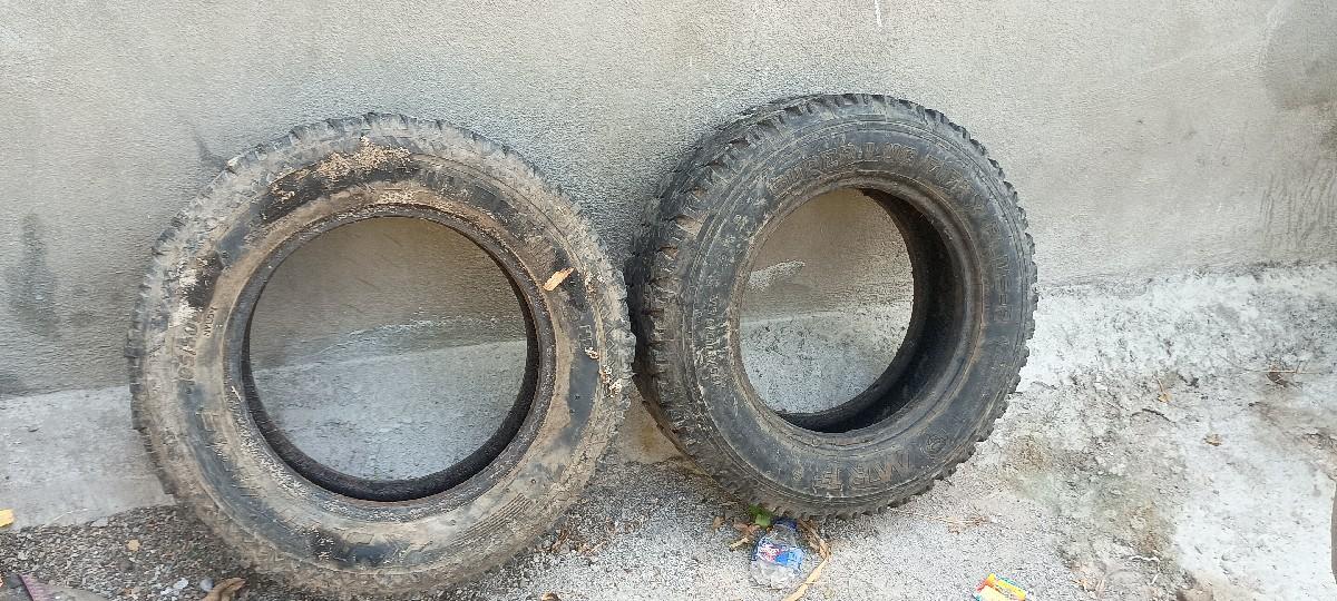 થંબનેલ 2