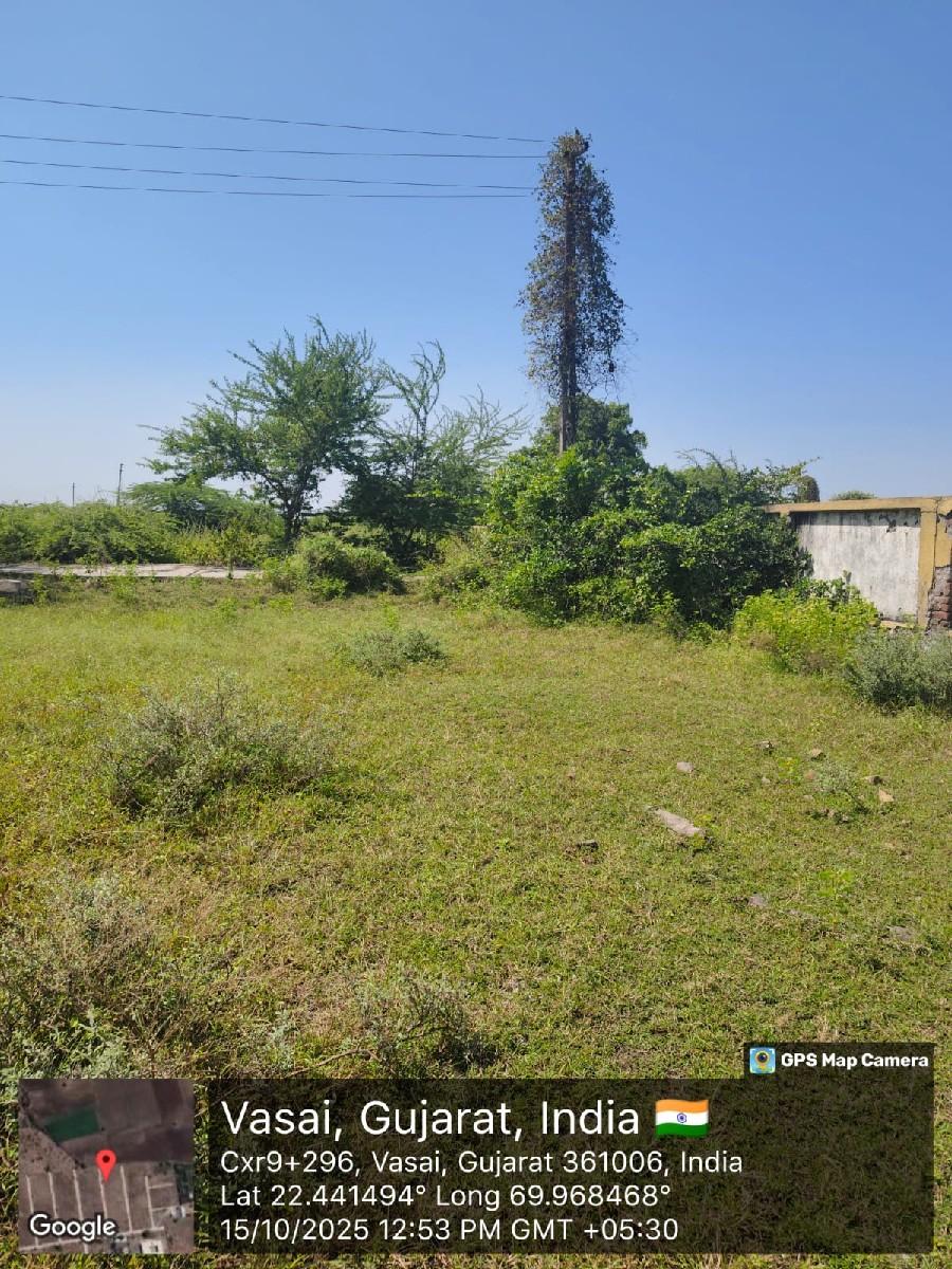 થંબનેલ 2