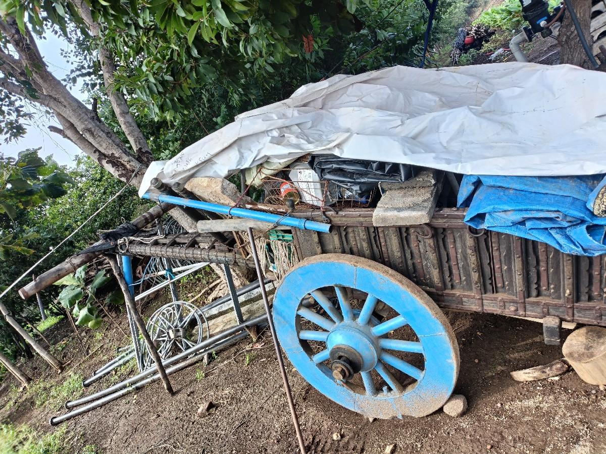 બળદ ગાડું વેચવાનું છે