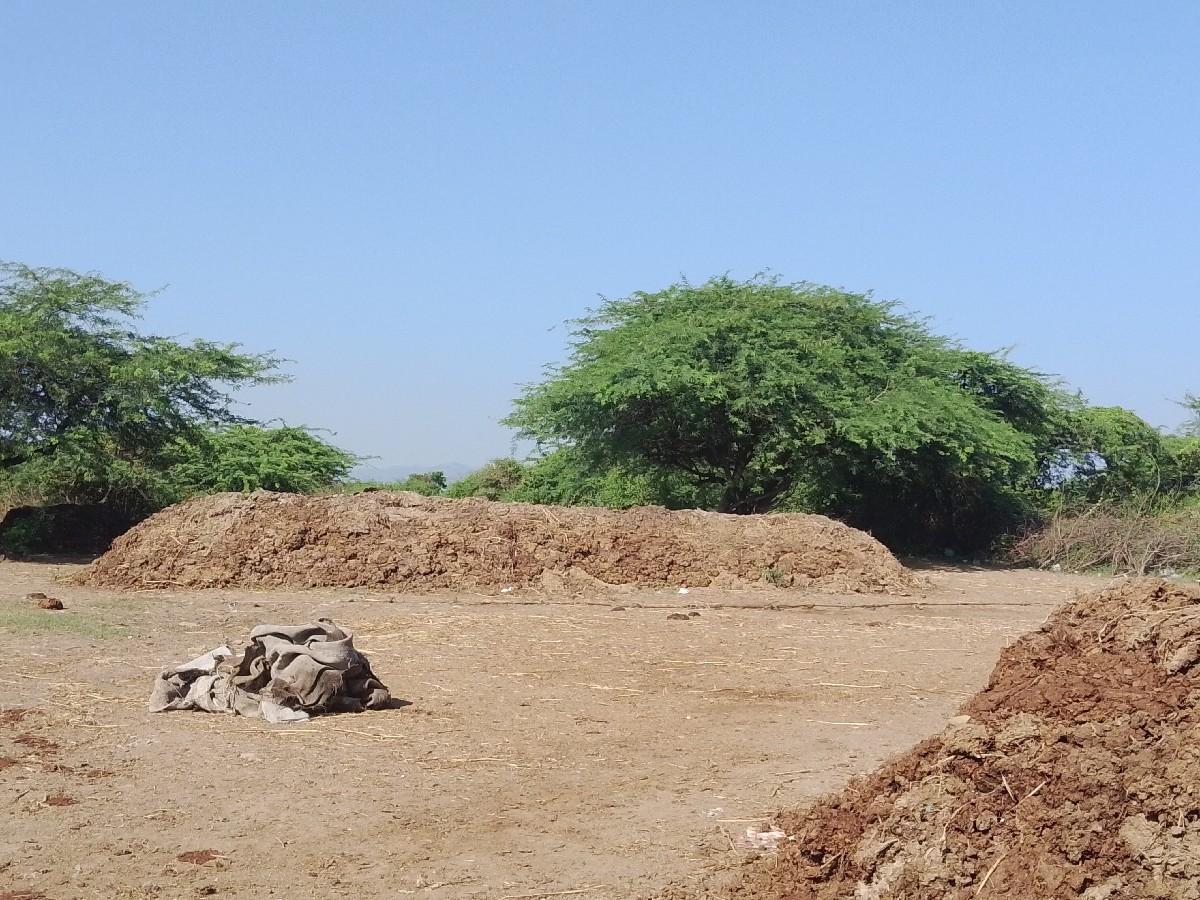 પીયોર છાણીયુ ખાતર વેચવાનુ છે