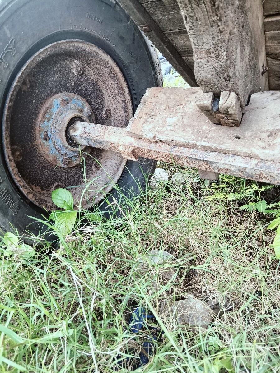 થંબનેલ 2