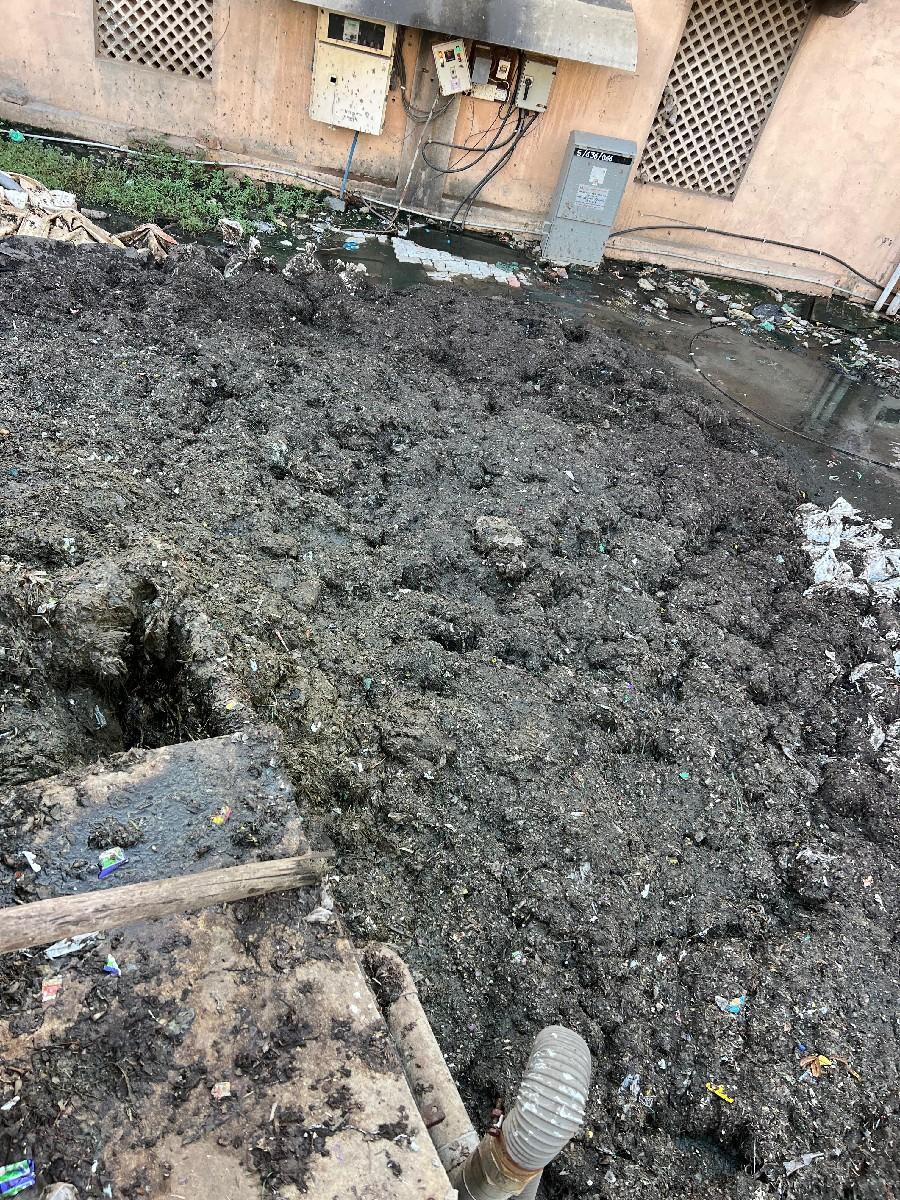 ઓર્ગેનિક ખાતર