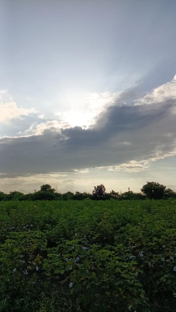 જમીન લેવા માટે મળો