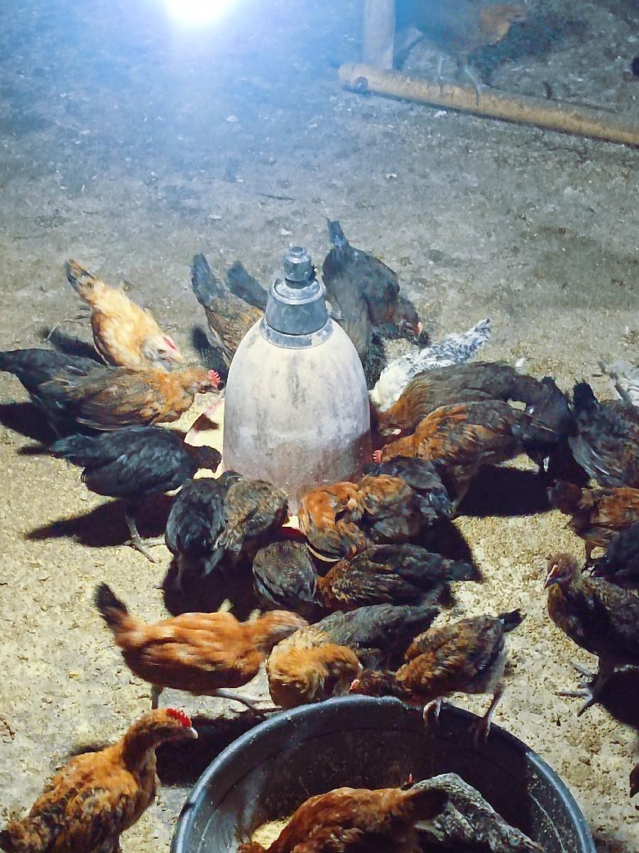 थंबनेल 3