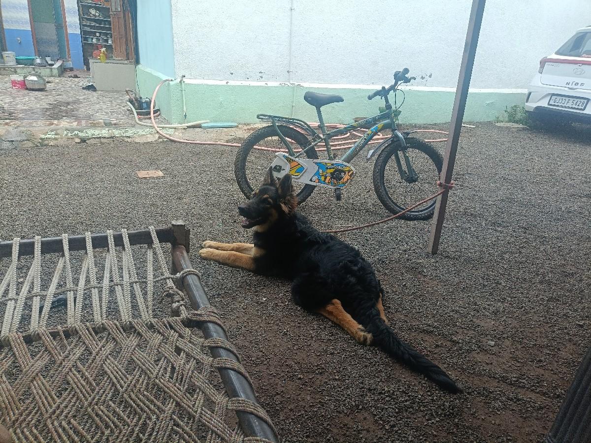 थंबनेल 2