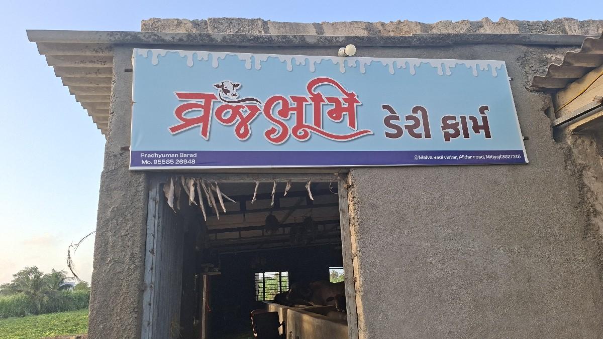 થંબનેલ 3