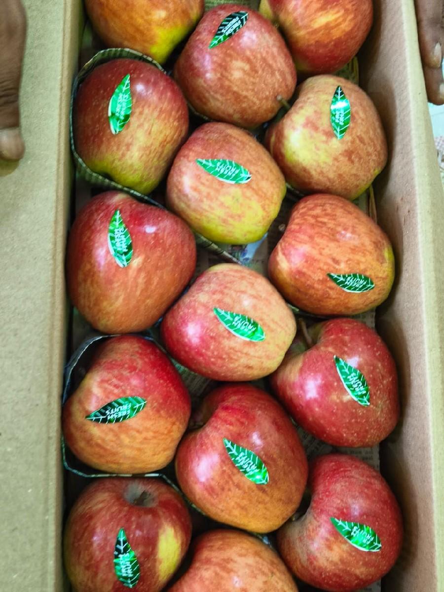 kashmiri apples
