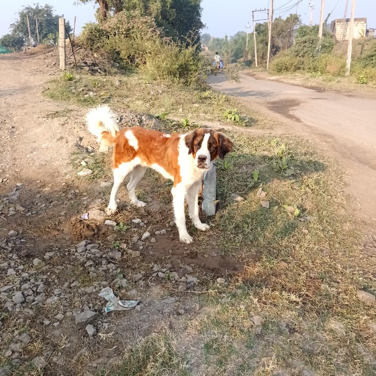 થંબનેલ 3