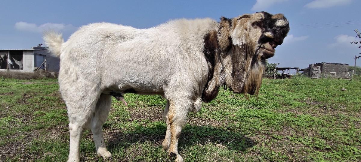 थंबनेल 3