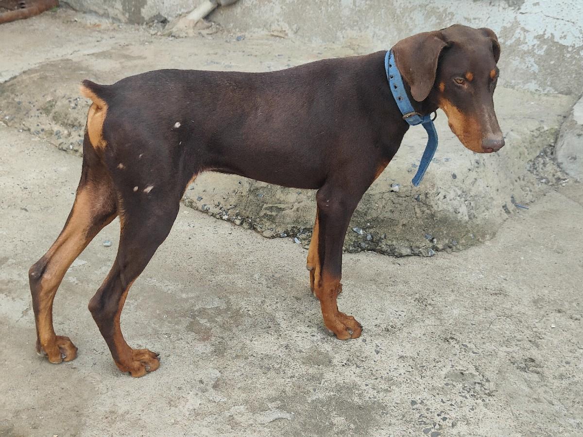 થંબનેલ 2