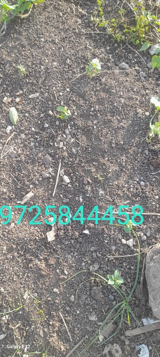 saniu khater devanu se