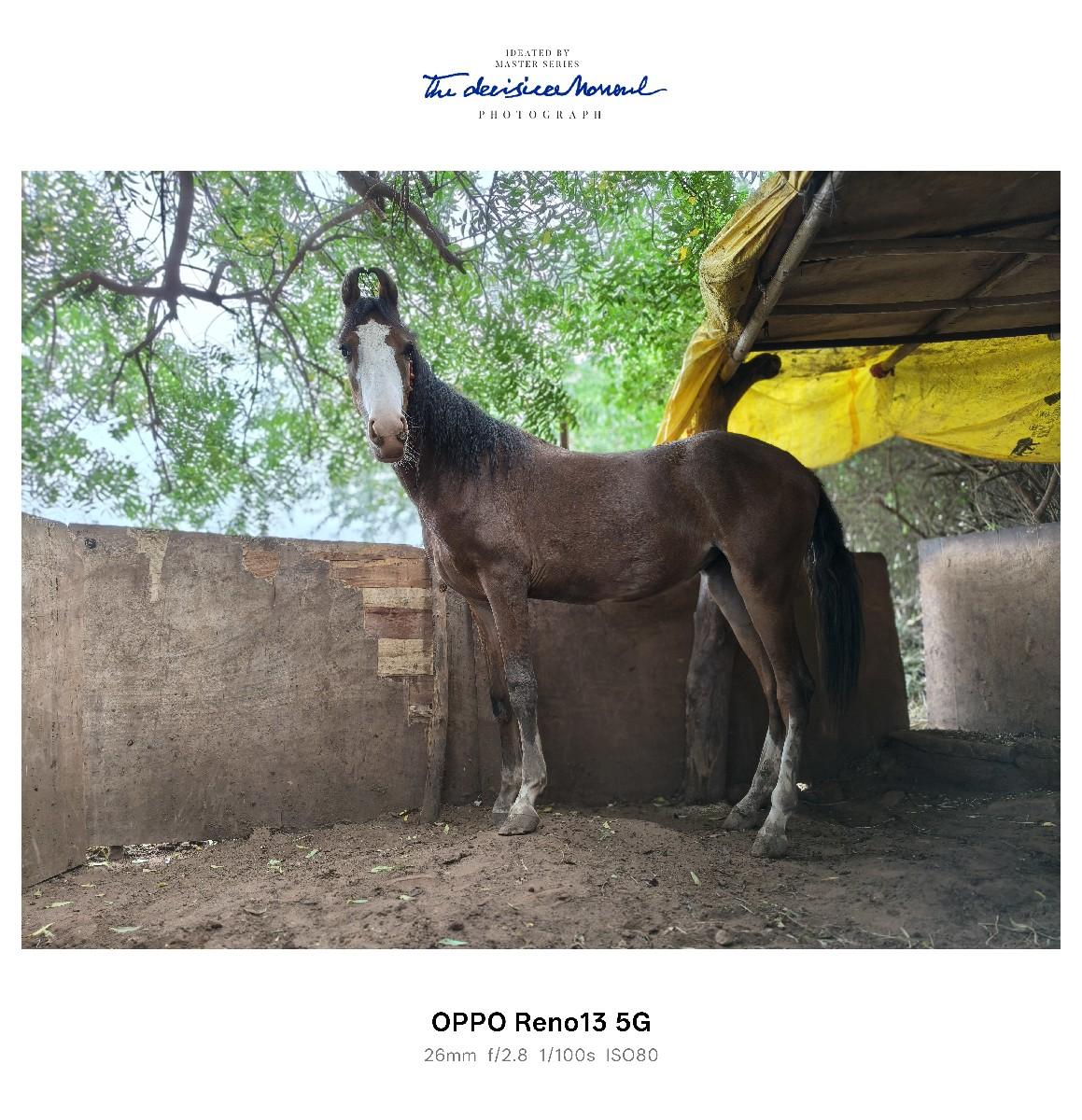 વસેરી વેચવાની છે