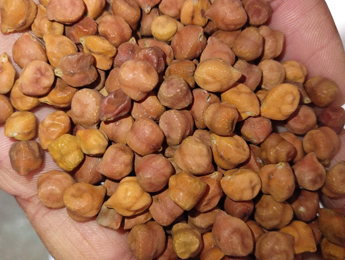 થંબનેલ 2