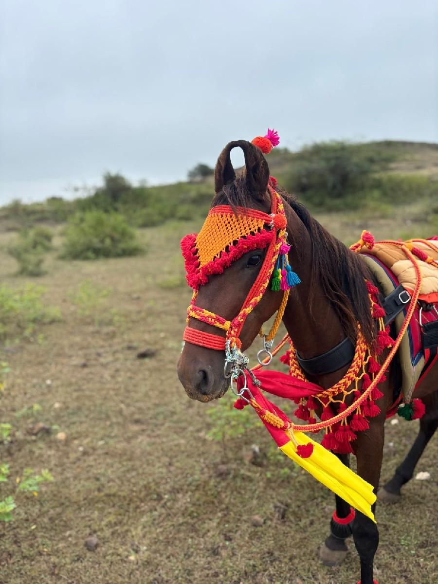 थंबनेल 2