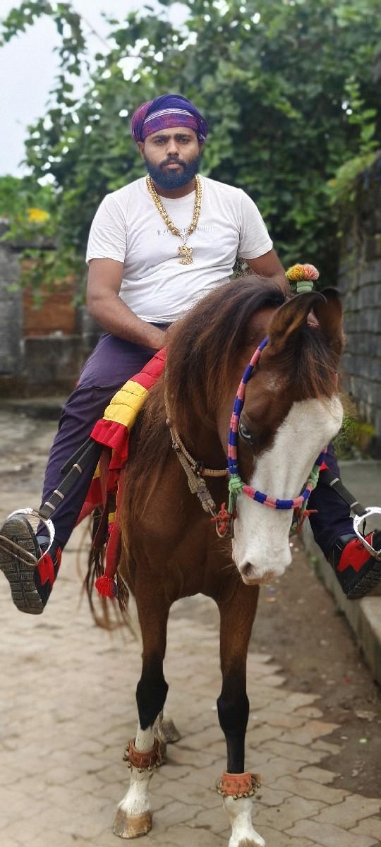 થંબનેલ 2