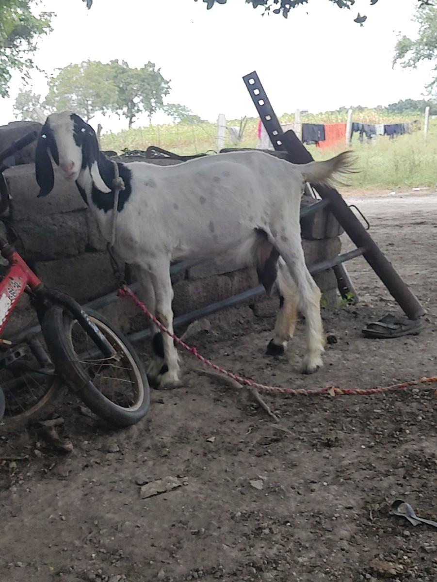 थंबनेल 2