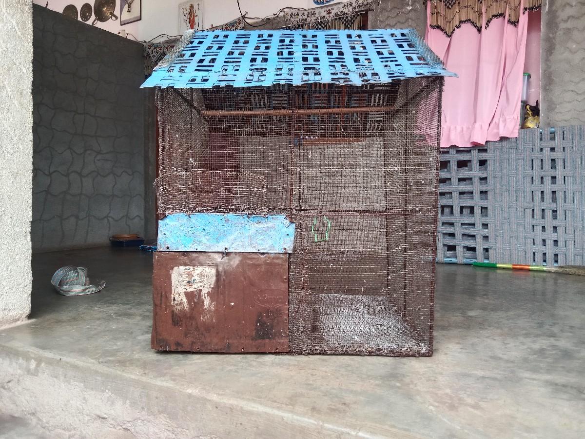 થંબનેલ 2