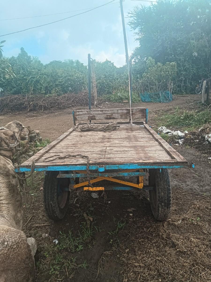 થંબનેલ 3