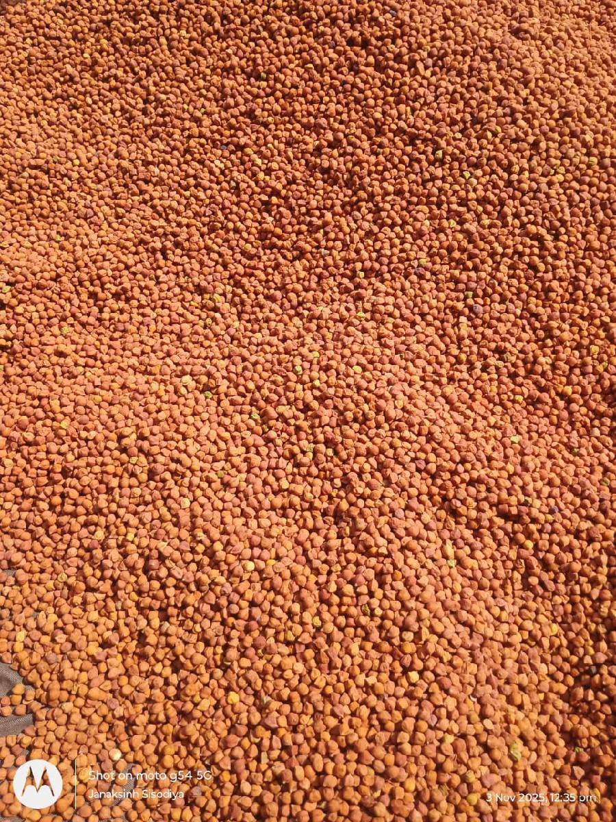 3 નંબર ચણા વેચવાના છે