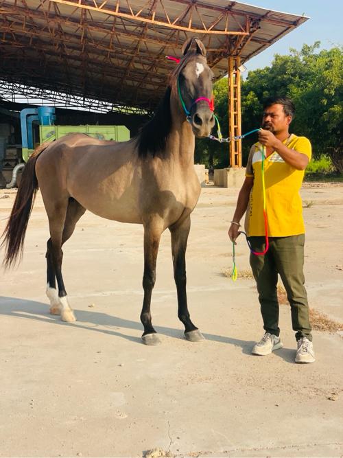 थंबनेल 3