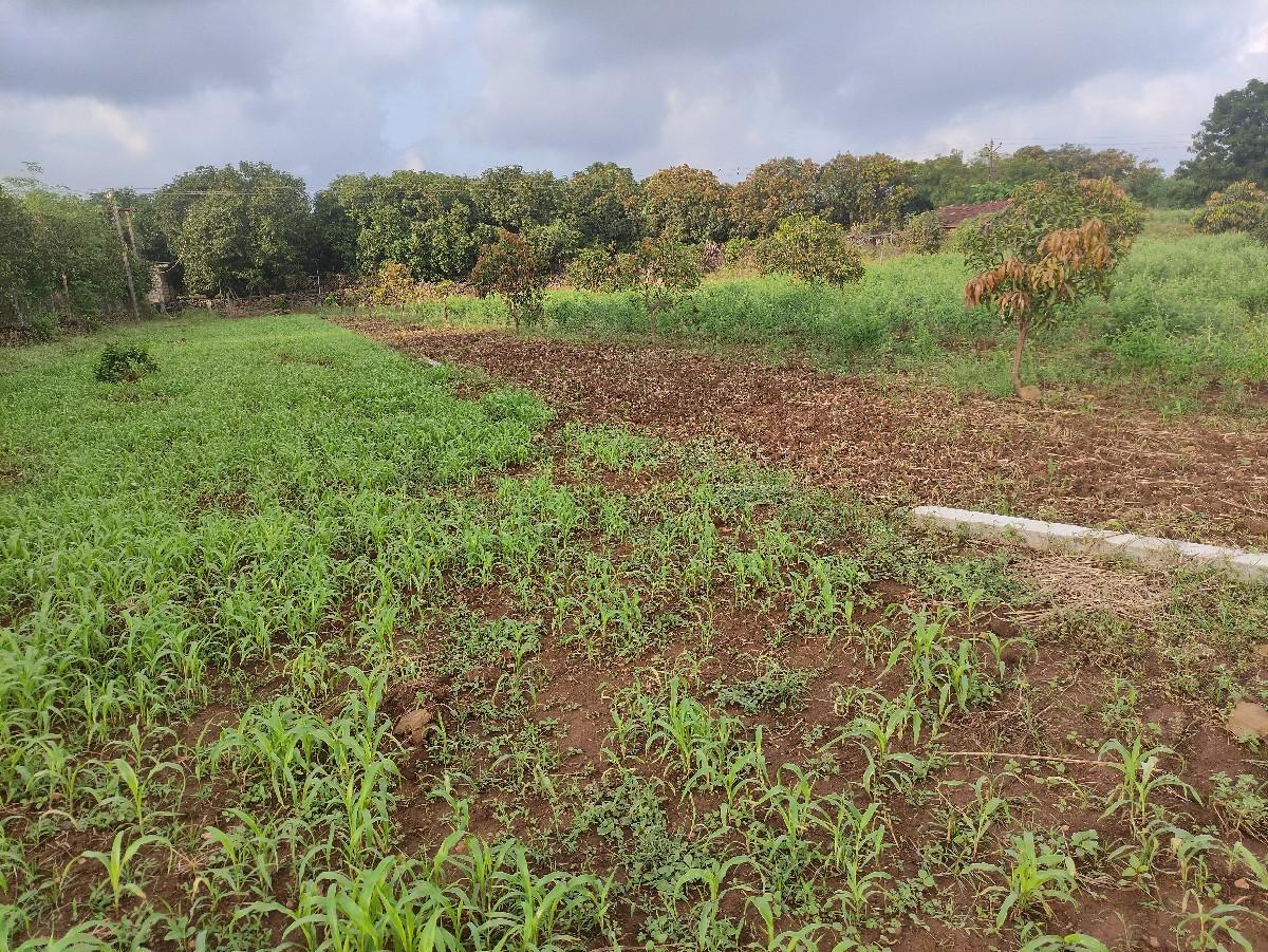 7.5 વિઘા જમીન વેચવાની છે