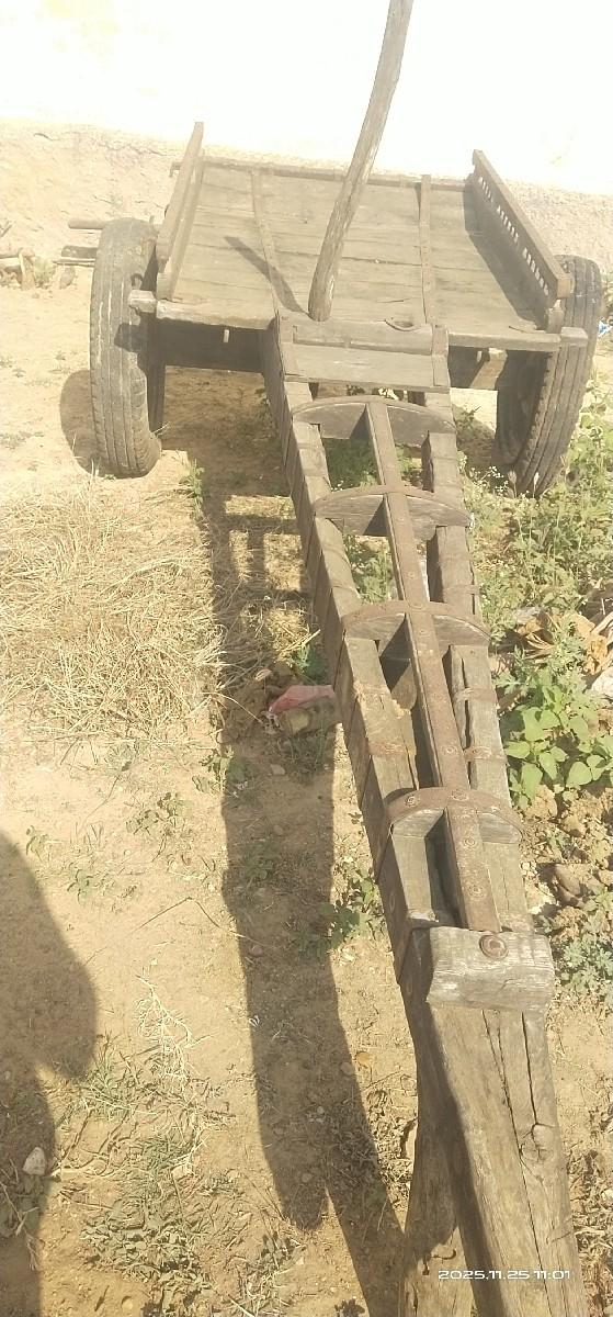 થંબનેલ 3