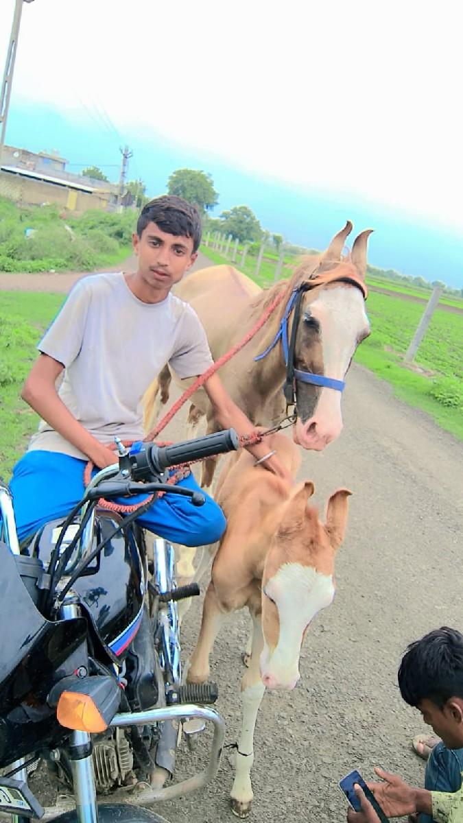 थंबनेल 2