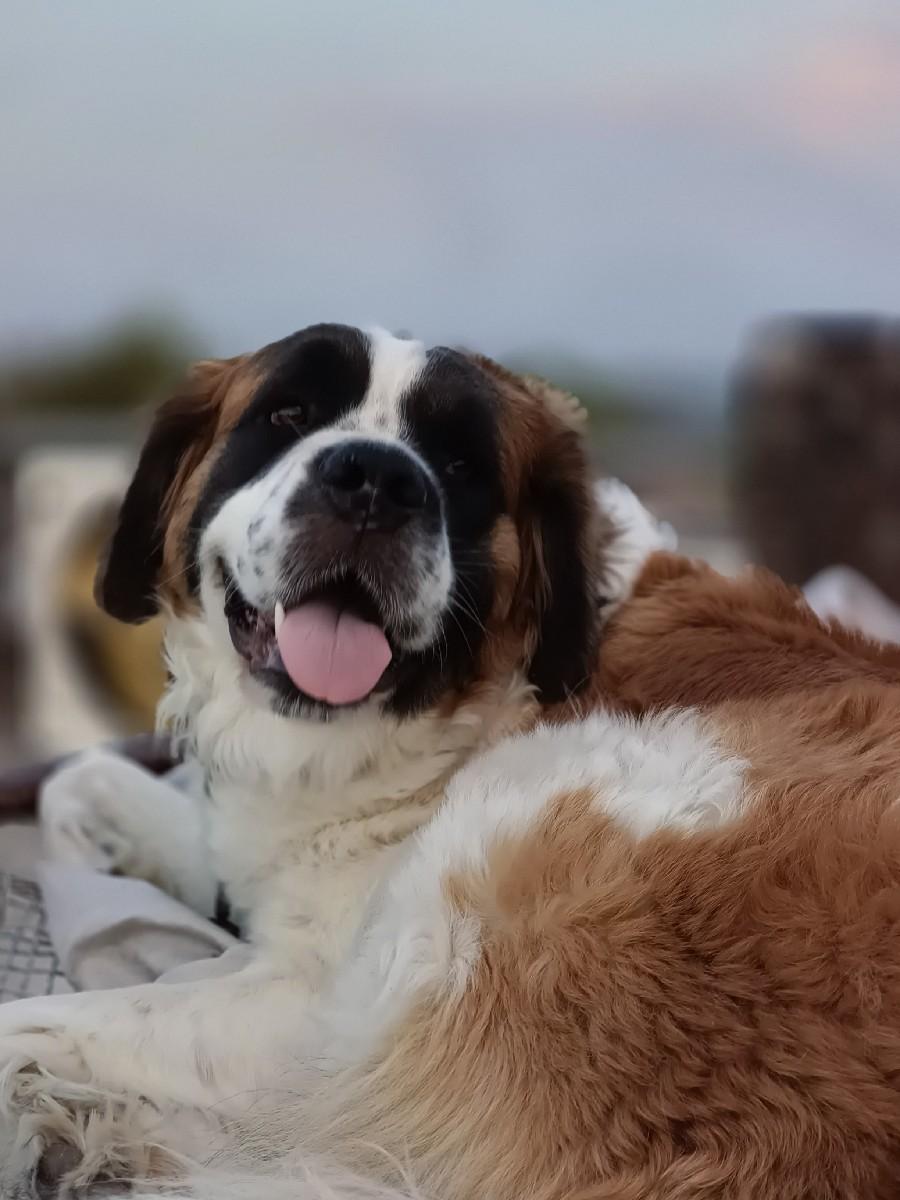 થંબનેલ 2