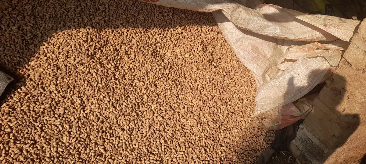 k41એકતાલીસ