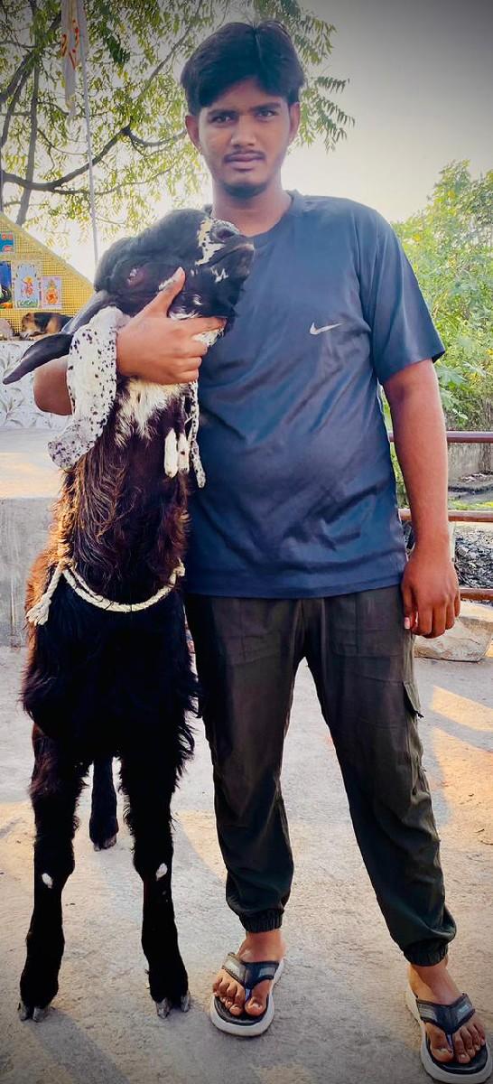 6 દાત 2.5 વર્ષ ઉંમર