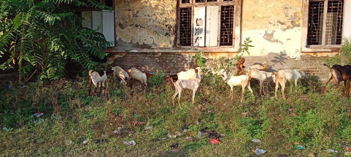 થંબનેલ 3