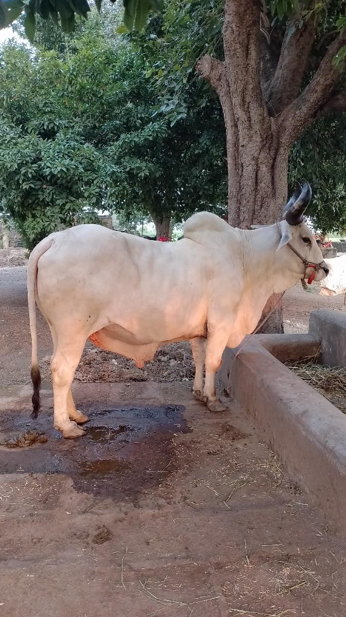 थंबनेल 2