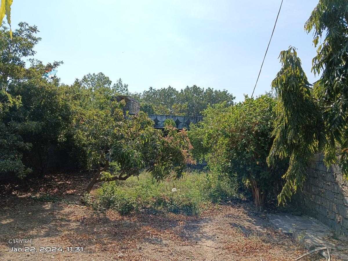 મકાન વેચવાનું છે