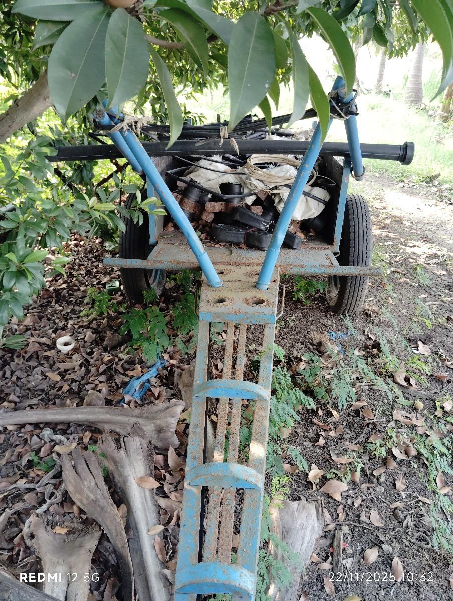 થંબનેલ 3