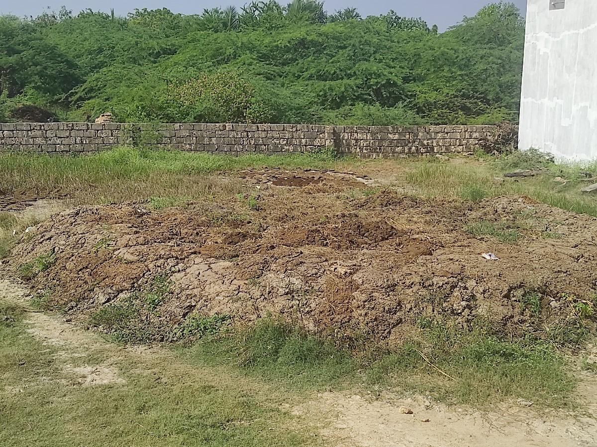 થંબનેલ 3