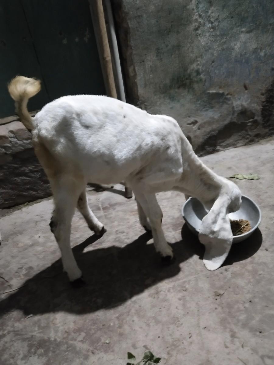 थंबनेल 2