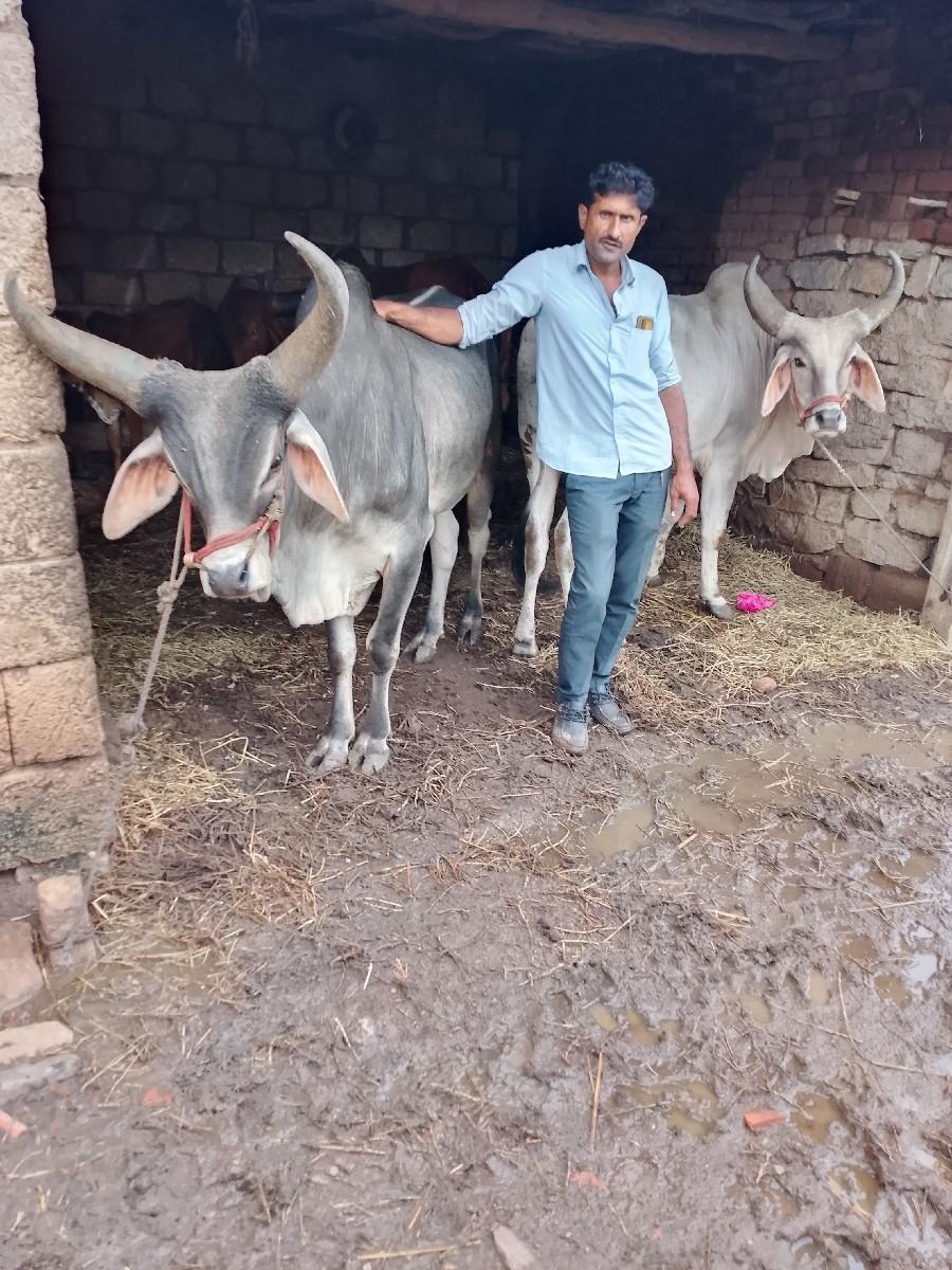 થંબનેલ 3