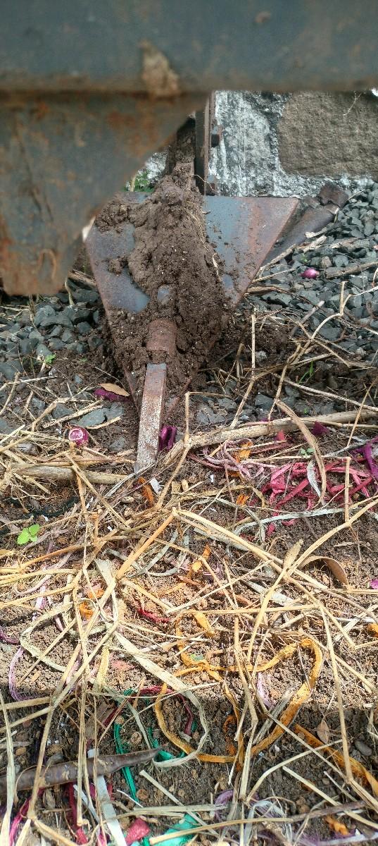 પંછીયા વેચવાના છે