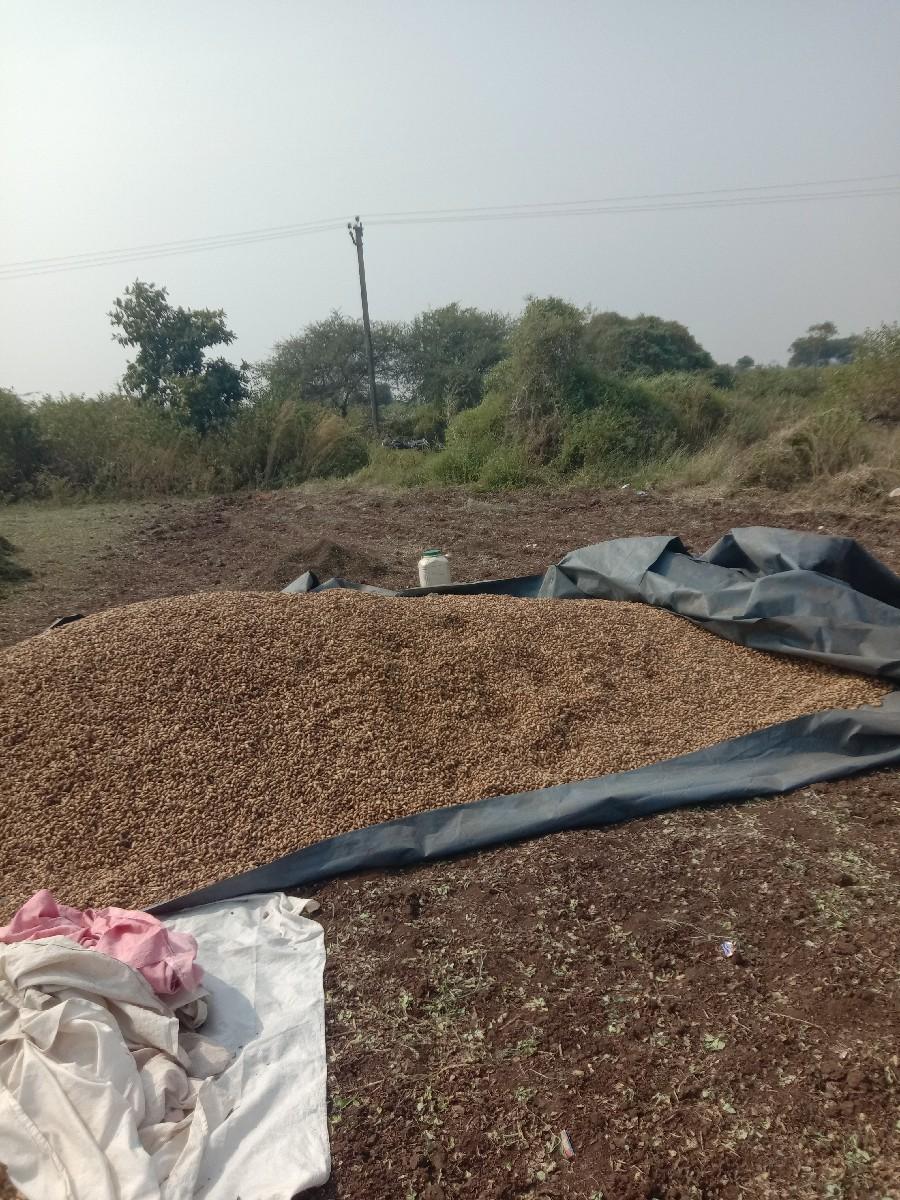 જમીન વેશવાની છે