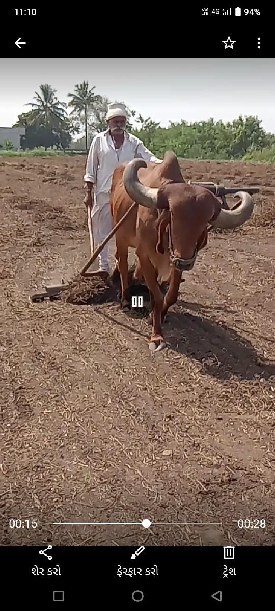 થંબનેલ 3