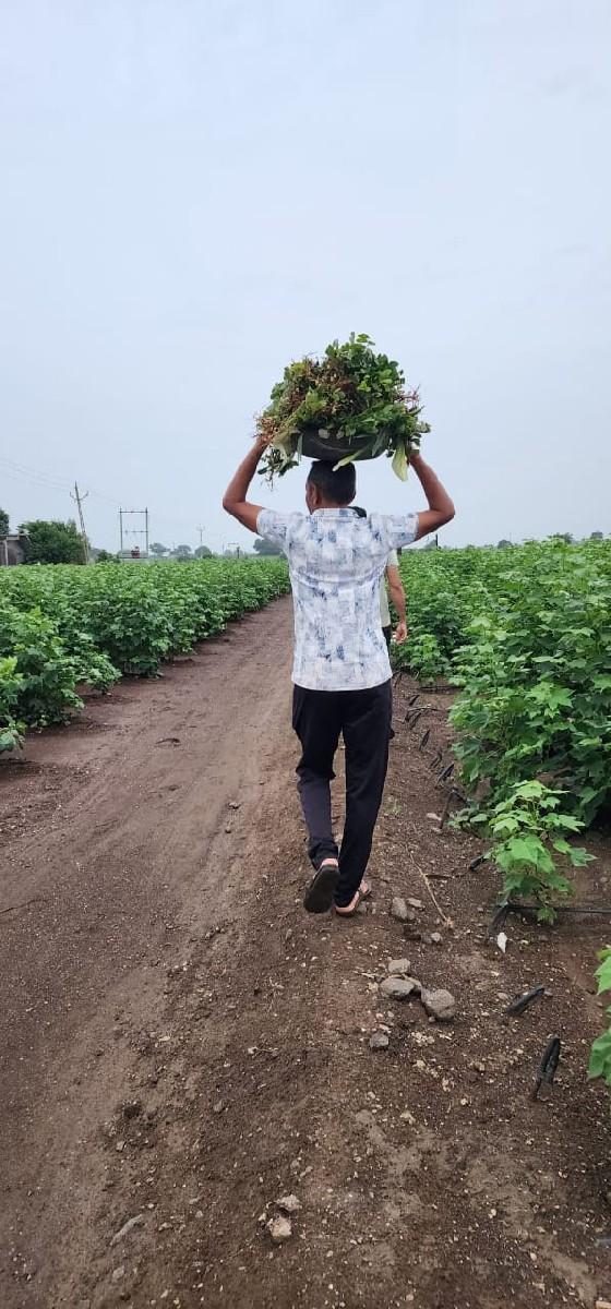 थंबनेल 2