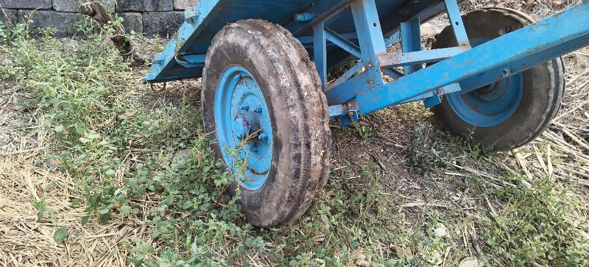 થંબનેલ 3