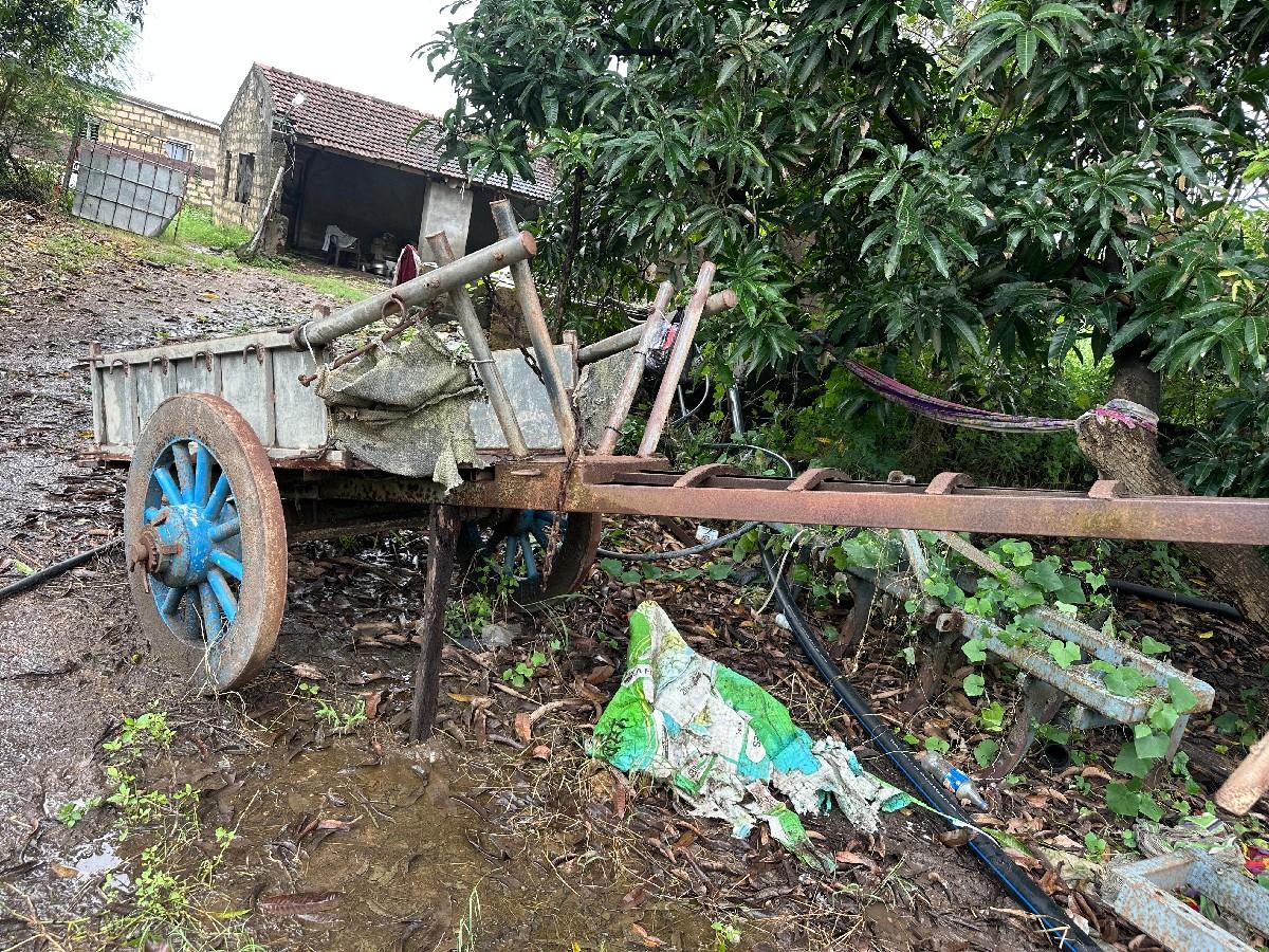 બળદ ગાડુ