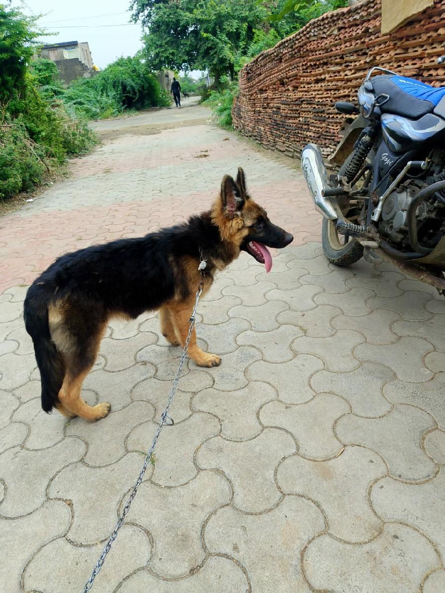 થંબનેલ 3